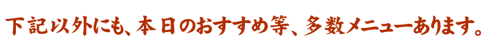 下記以外にも、本日のおすすめ等、多数メニューあります。